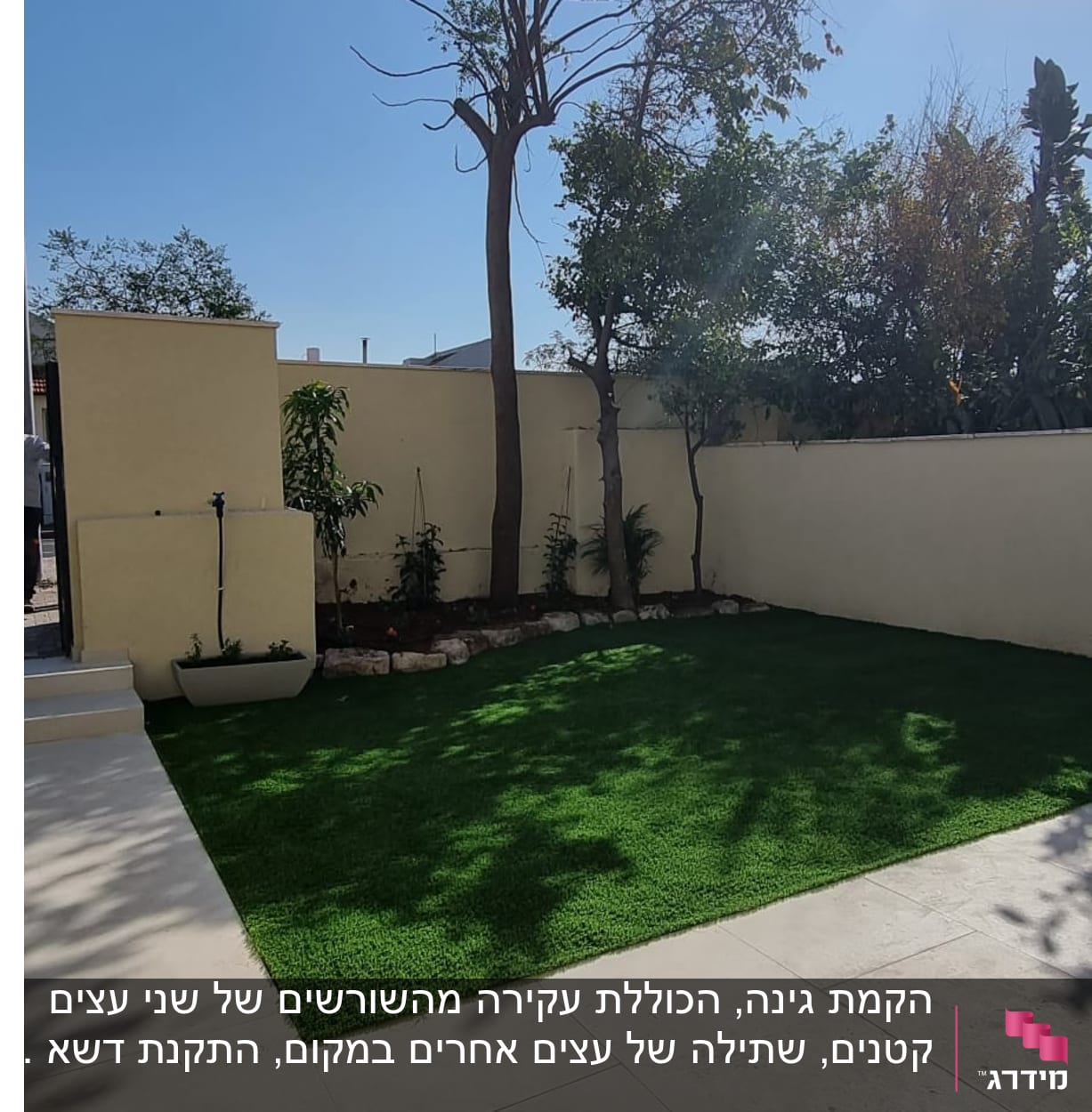 דשא ירוק ועצים בגינה קטנה